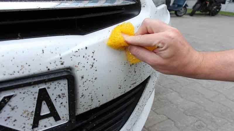Как смыть следы от насекомых с автомобиля?
